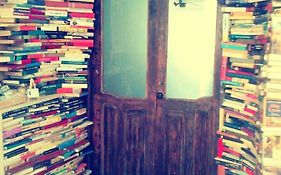 Ratones De Biblioteca